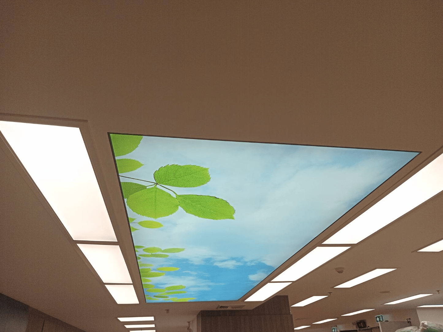 Barrisol Streched Ceiling 